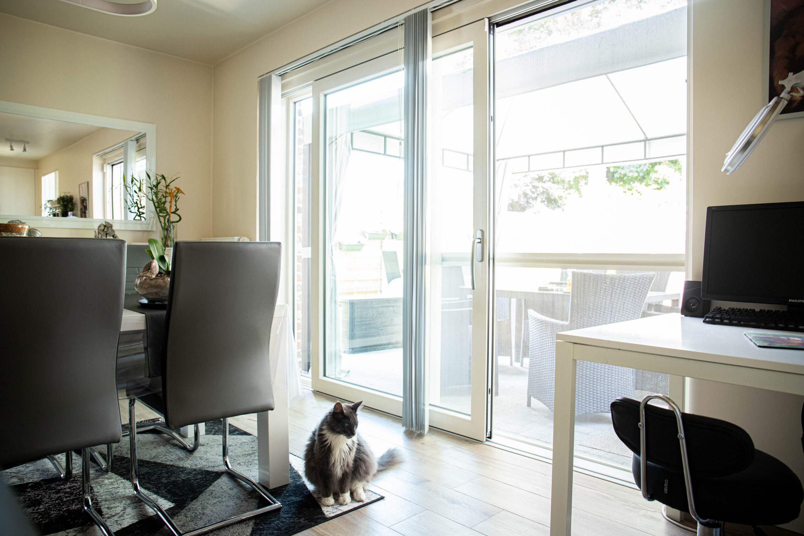 Terrasdeur en glaspartij in gerenoveerde woning